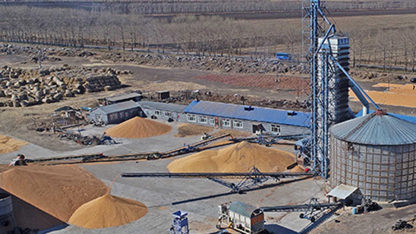 糧食烘干合作社如何做到年節(jié)省90萬(wàn)元？利民萬(wàn)佳鍋爐為您解析